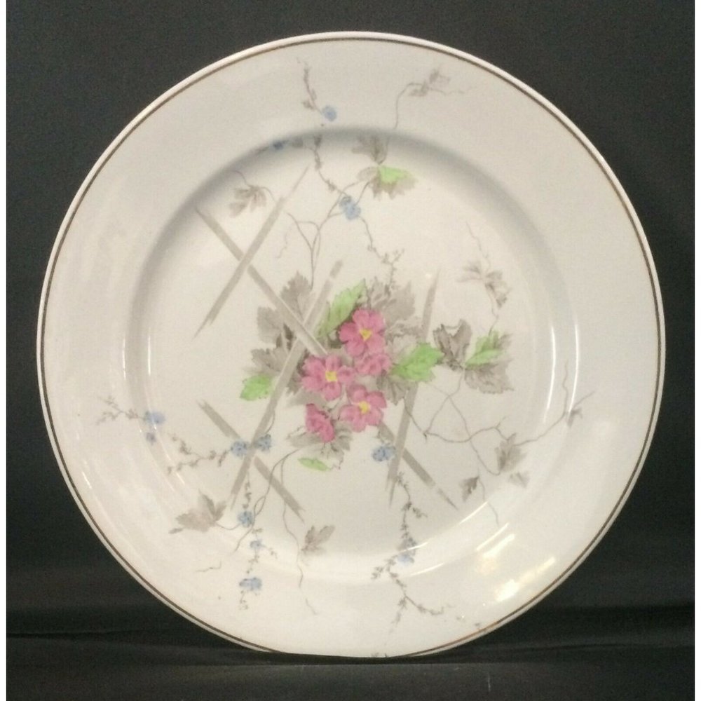 😀 Antique Victorian Aesthetic Ironstone Plate